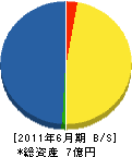 新日本技建 貸借対照表 2011年6月期