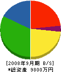 東栄電気 貸借対照表 2008年9月期