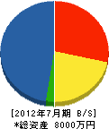 田中工務所 貸借対照表 2012年7月期