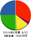 京葉工業 貸借対照表 2010年8月期