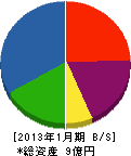 小川製作所 貸借対照表 2013年1月期