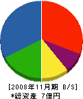 東洋通信工業 貸借対照表 2008年11月期