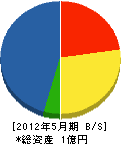 佐藤電気工業 貸借対照表 2012年5月期