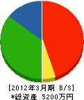 佐藤コーティング 貸借対照表 2012年3月期