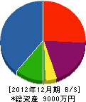 佐藤板金工務店 貸借対照表 2012年12月期