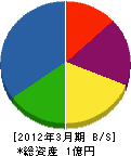 増川プロジェクト技建 貸借対照表 2012年3月期