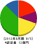 田枝建設 貸借対照表 2012年4月期