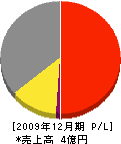 大竹商店 損益計算書 2009年12月期