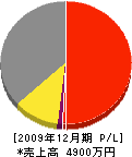 島米塗装店 損益計算書 2009年12月期