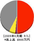 和泉テクノ・ス・サービス 損益計算書 2009年6月期