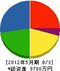 川村工作所 貸借対照表 2012年5月期