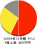 徳江電気工業所 損益計算書 2008年12月期