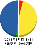 マルエイ柴田土建 貸借対照表 2011年3月期