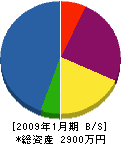 高田電通工業 貸借対照表 2009年1月期