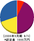 藤井総業 貸借対照表 2008年9月期