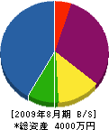 浜崎紅緑園 貸借対照表 2009年8月期