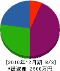 亀山工業 貸借対照表 2010年12月期