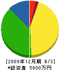 枝川電工 貸借対照表 2009年12月期