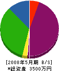 関澤電気商会 貸借対照表 2008年5月期