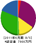 村井工務店 貸借対照表 2011年6月期