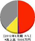 鈴木電気商会 損益計算書 2012年6月期