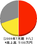 若井総業 損益計算書 2009年7月期