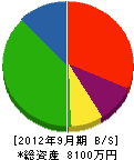 相澤工務店 貸借対照表 2012年9月期