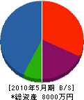 長谷川組 貸借対照表 2010年5月期