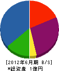 田島組 貸借対照表 2012年6月期