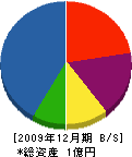 中田採石工業 貸借対照表 2009年12月期
