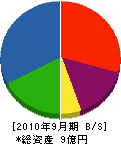 斎藤工務店 貸借対照表 2010年9月期