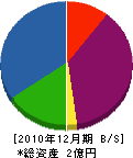 ナガヨシ技建 貸借対照表 2010年12月期