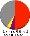 佐藤悦三工務店 損益計算書 2011年12月期
