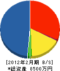 平川建設 貸借対照表 2012年2月期