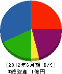 大和田建設 貸借対照表 2012年6月期