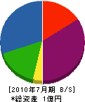 内田電気商会 貸借対照表 2010年7月期