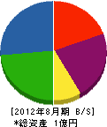 沢田電興社 貸借対照表 2012年8月期