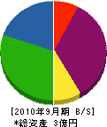 千葉丸辰道路 貸借対照表 2010年9月期