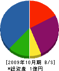 近畿興産 貸借対照表 2009年10月期