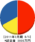 黒沢総合 貸借対照表 2011年3月期