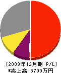 枝川電工 損益計算書 2009年12月期