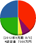 栃木住建 貸借対照表 2012年9月期