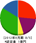 寺澤電業社 貸借対照表 2012年8月期