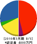 大柿商会 貸借対照表 2010年3月期