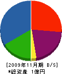 竹花建設 貸借対照表 2009年11月期
