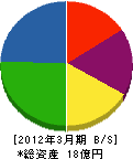 高知丸高 貸借対照表 2012年3月期