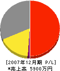 鬼塚塗装店 損益計算書 2007年12月期