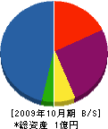 三欣 貸借対照表 2009年10月期
