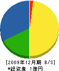 竜田建設 貸借対照表 2009年12月期