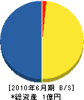 成島電気工業 貸借対照表 2010年6月期